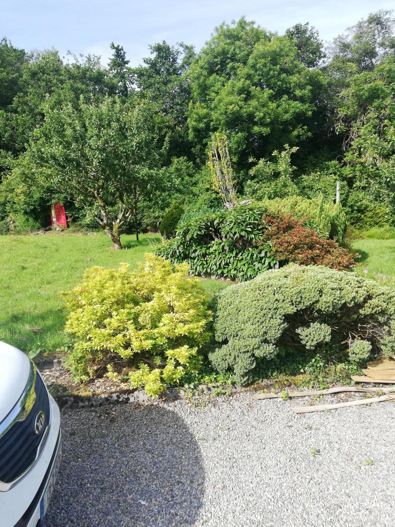 Lakeview House Daire Galway Dış mekan fotoğraf